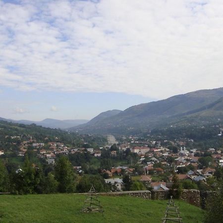 Pensiunea Valea Negrasului Trăisteni Buitenkant foto