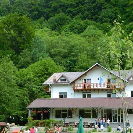 Pensiunea Valea Negrasului Trăisteni Buitenkant foto