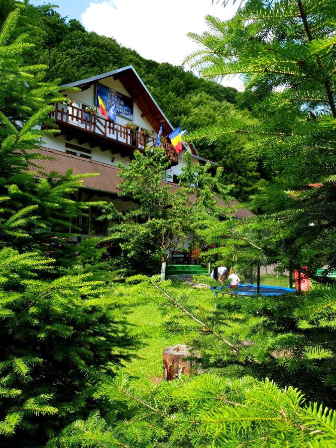 Pensiunea Valea Negrasului Trăisteni Buitenkant foto
