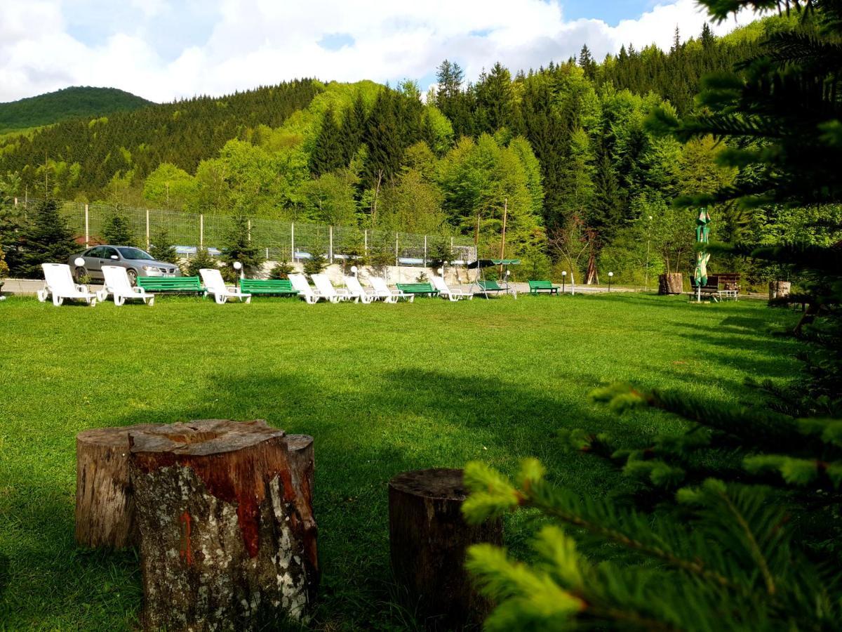 Pensiunea Valea Negrasului Trăisteni Buitenkant foto