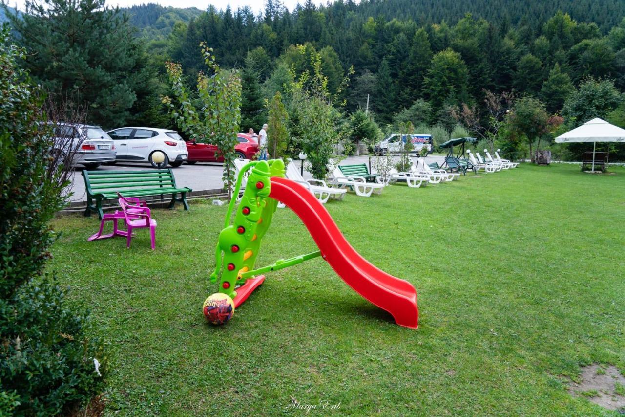 Pensiunea Valea Negrasului Trăisteni Buitenkant foto