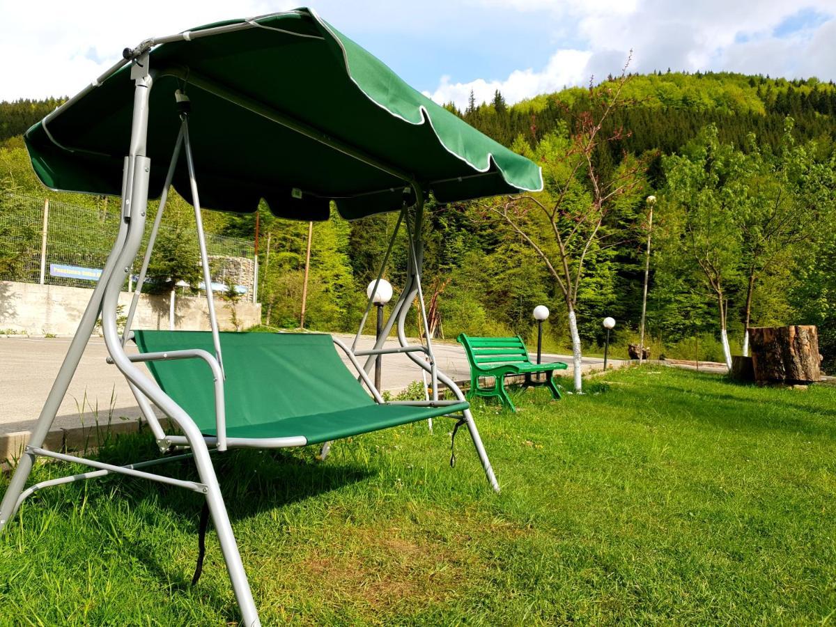 Pensiunea Valea Negrasului Trăisteni Buitenkant foto