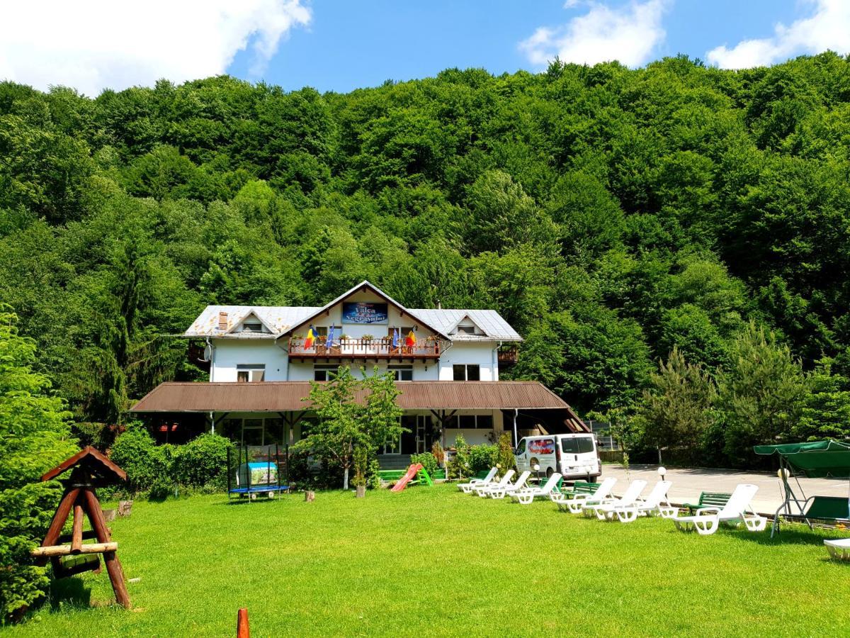 Pensiunea Valea Negrasului Trăisteni Buitenkant foto