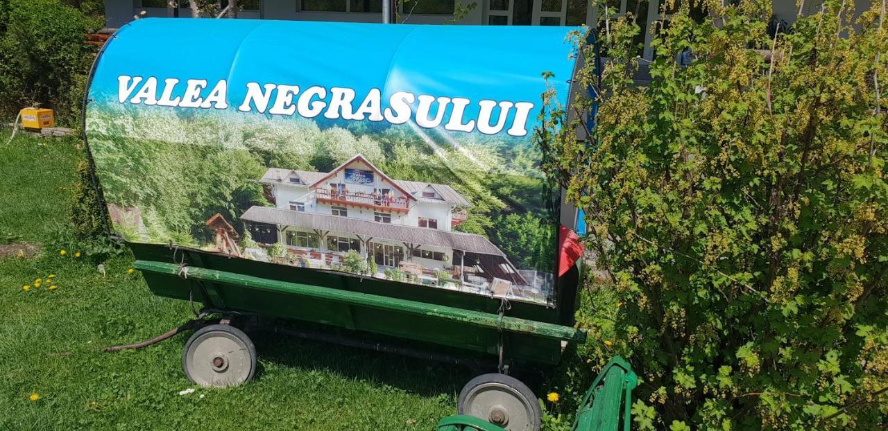 Pensiunea Valea Negrasului Trăisteni Buitenkant foto