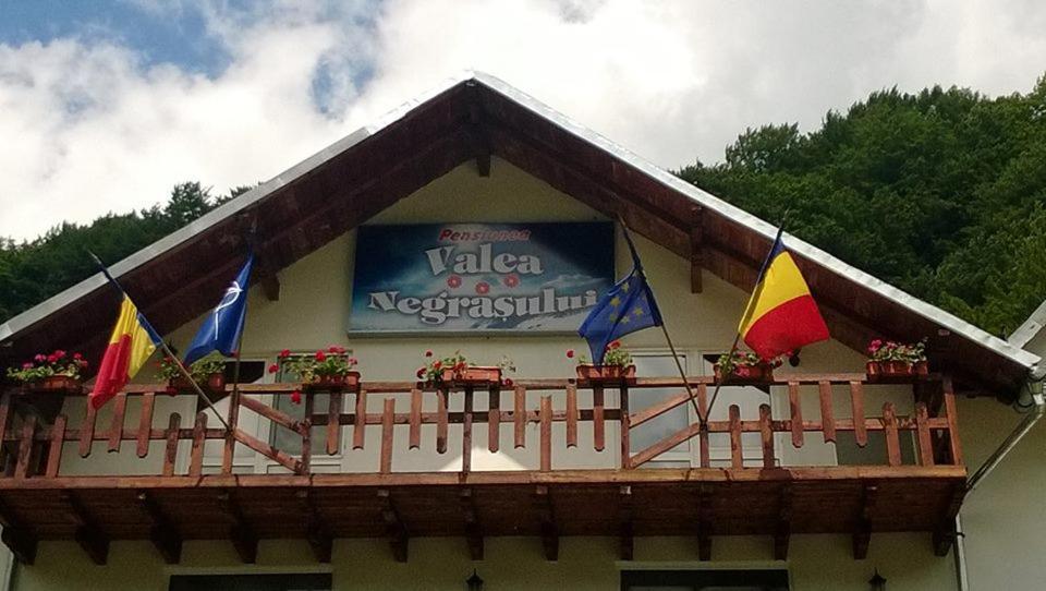 Pensiunea Valea Negrasului Trăisteni Buitenkant foto
