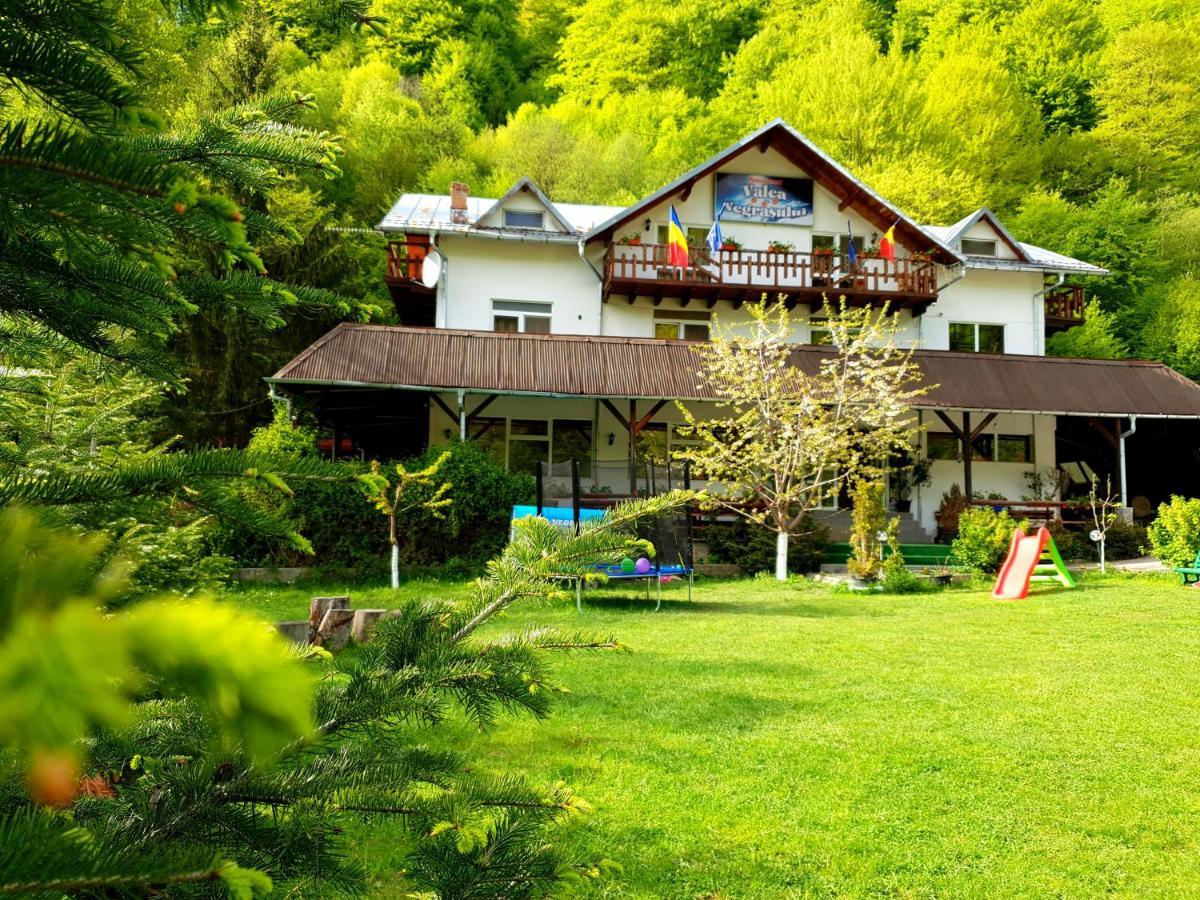 Pensiunea Valea Negrasului Trăisteni Buitenkant foto