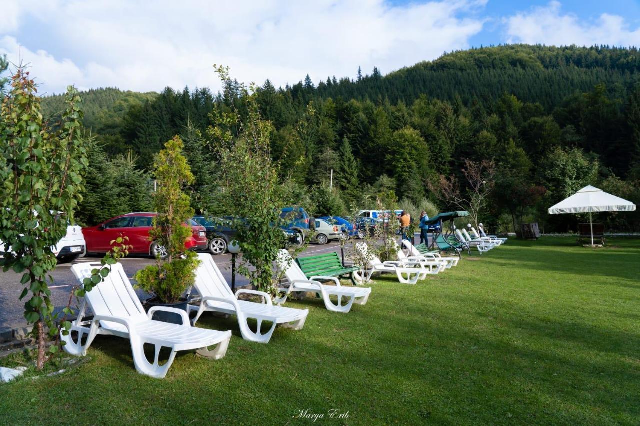 Pensiunea Valea Negrasului Trăisteni Buitenkant foto