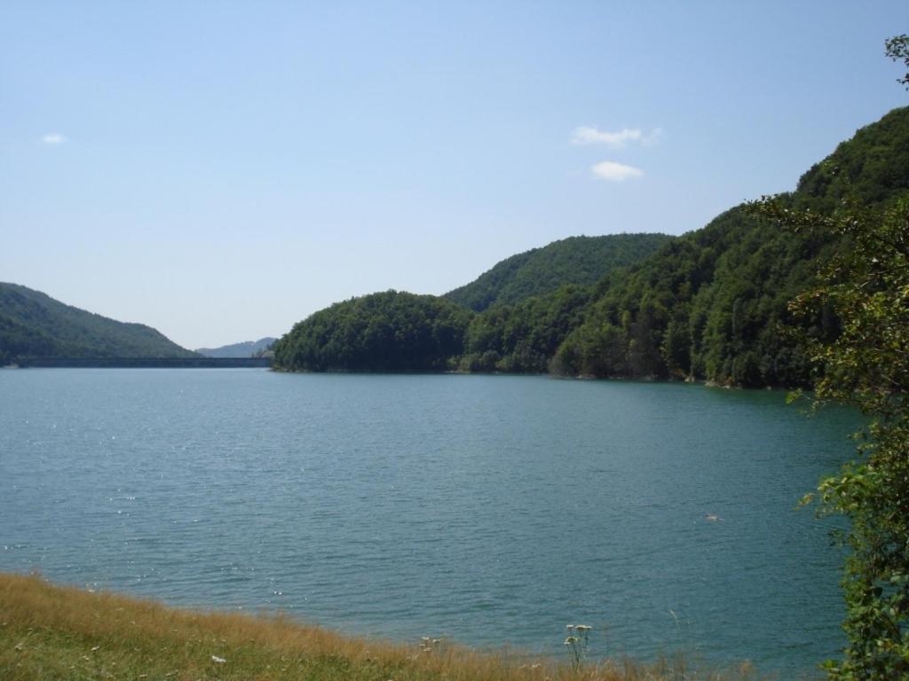 Pensiunea Valea Negrasului Trăisteni Buitenkant foto
