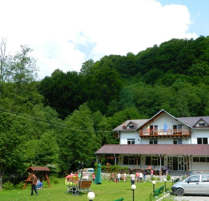 Pensiunea Valea Negrasului Trăisteni Buitenkant foto