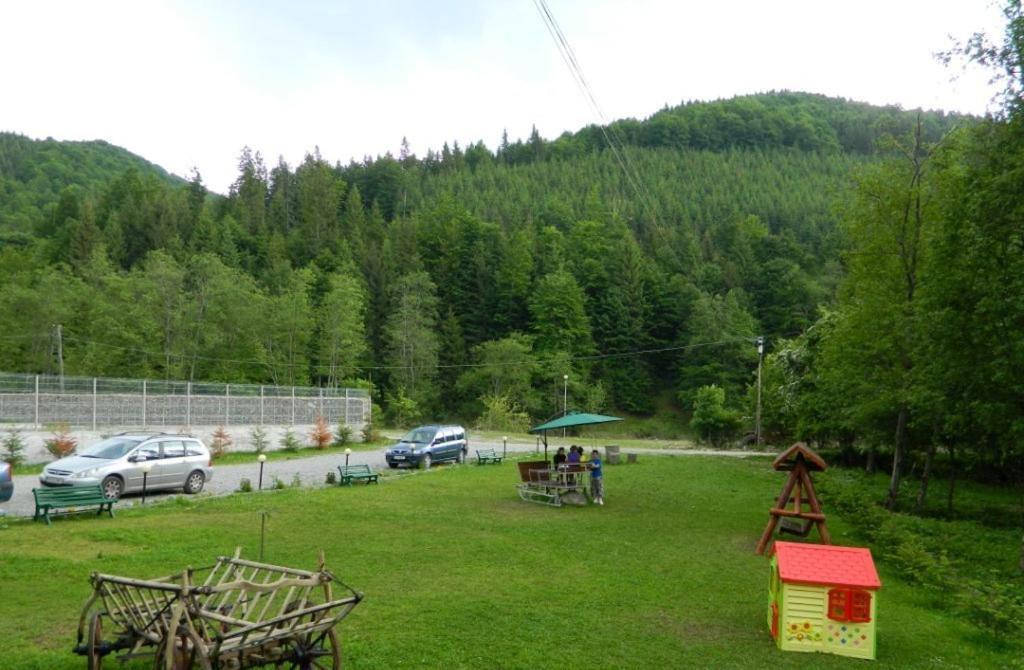 Pensiunea Valea Negrasului Trăisteni Buitenkant foto