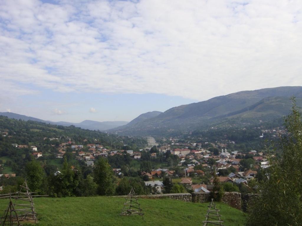 Pensiunea Valea Negrasului Trăisteni Buitenkant foto