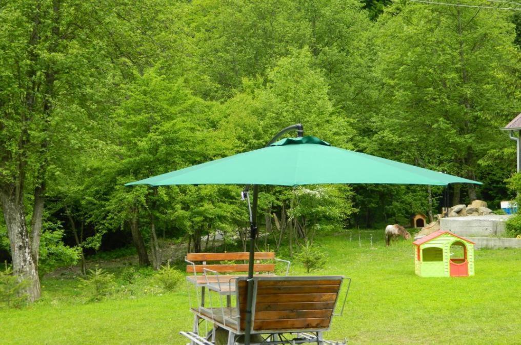 Pensiunea Valea Negrasului Trăisteni Buitenkant foto