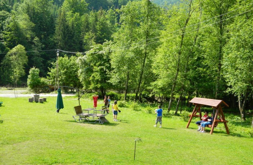 Pensiunea Valea Negrasului Trăisteni Buitenkant foto
